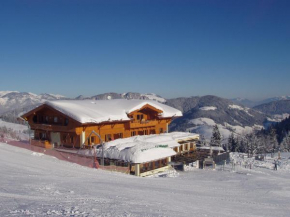 Отель Berghaus Koglmoos, Ауффах